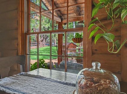 23823 Shake Ridge Rd, Volcano, CA 95689 Photo