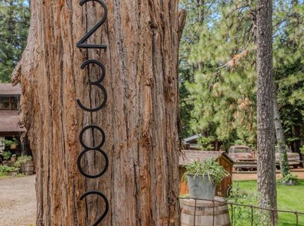 23823 Shake Ridge Rd, Volcano, CA 95689 Photo