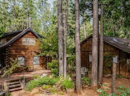 23823 Shake Ridge Rd, Volcano, CA 95689 Photo