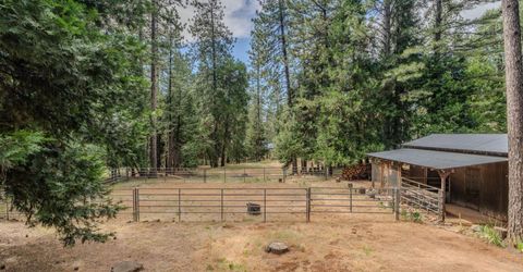 23823 Shake Ridge Rd, Volcano, CA 95689 Photo