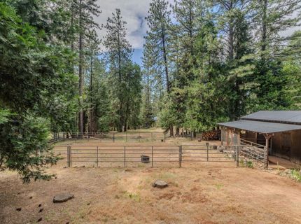 23823 Shake Ridge Rd, Volcano, CA 95689 Photo