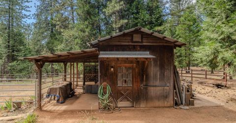 23823 Shake Ridge Rd, Volcano, CA 95689 Photo