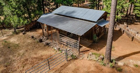 23823 Shake Ridge Rd, Volcano, CA 95689 Photo