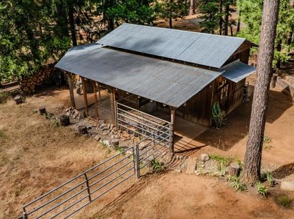 23823 Shake Ridge Rd, Volcano, CA 95689 Photo
