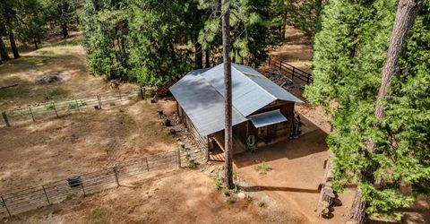 23823 Shake Ridge Rd, Volcano, CA 95689 Photo