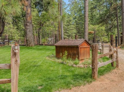 23823 Shake Ridge Rd, Volcano, CA 95689 Photo