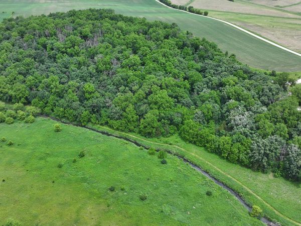 TBD Cardinal Lane , Mabel, MN 55954