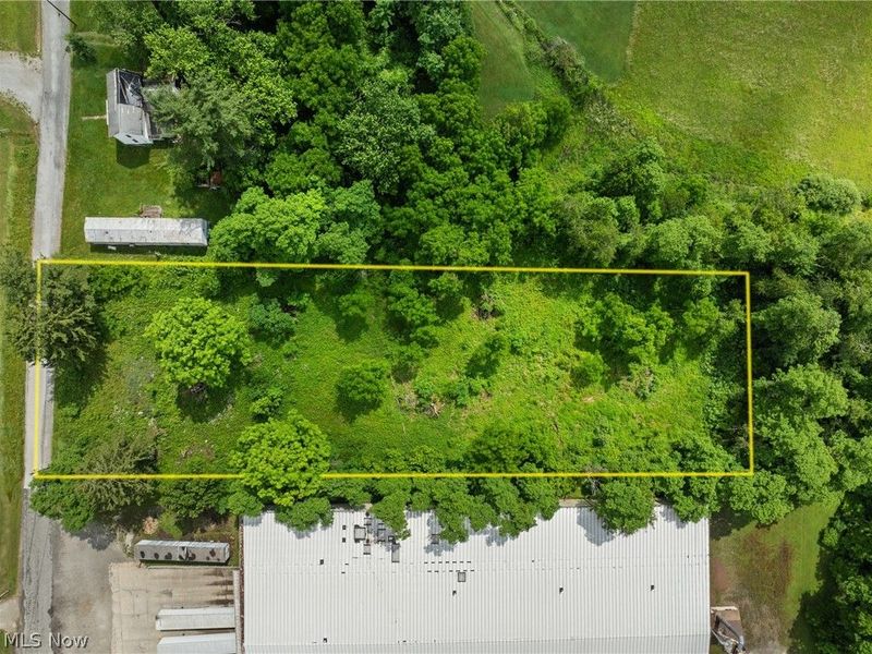 41310 Brown Road, Bethesda, OH 43719 Photo 3