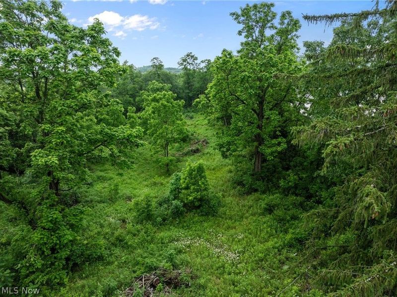 41310 Brown Road, Bethesda, OH 43719 Photo 4