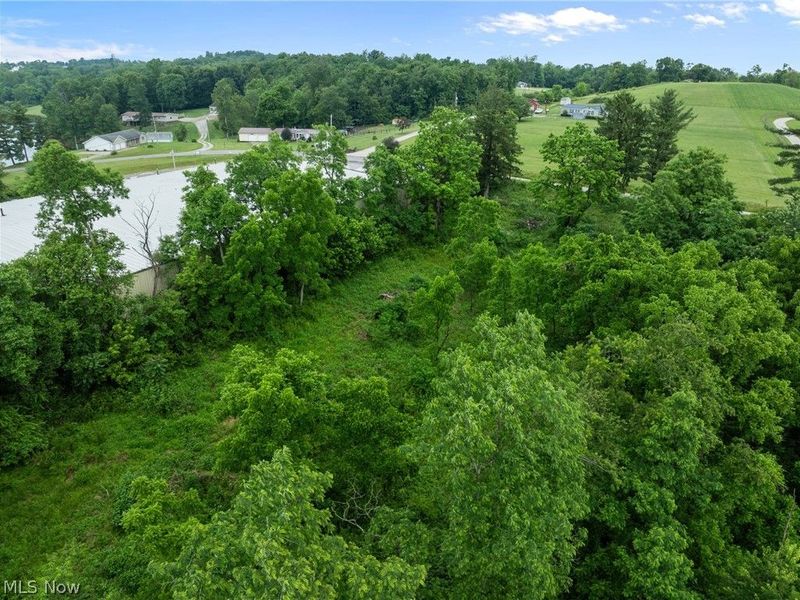 41310 Brown Road, Bethesda, OH 43719 Photo 5