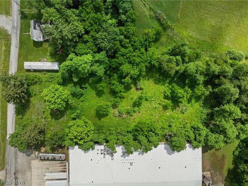 41310 Brown Road, Bethesda, OH 43719 Photo 8