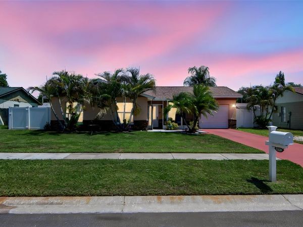 6317 FROST DRIVE, TAMPA, FL 33625