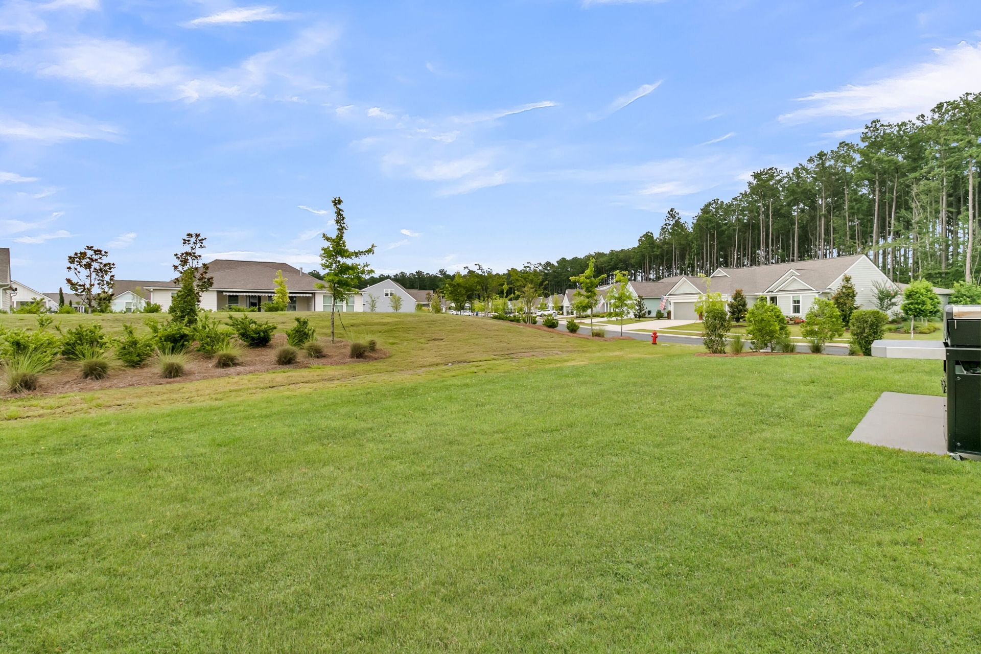 300 Autumn Azalea Way Photo 36