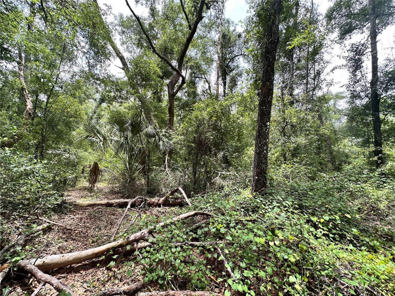 County Road 349 N., O Brien, FL 32071 Photo