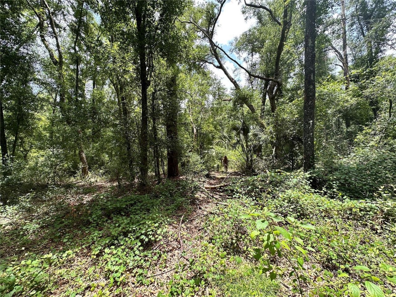 County Road 349 N., O Brien, FL 32071 Photo