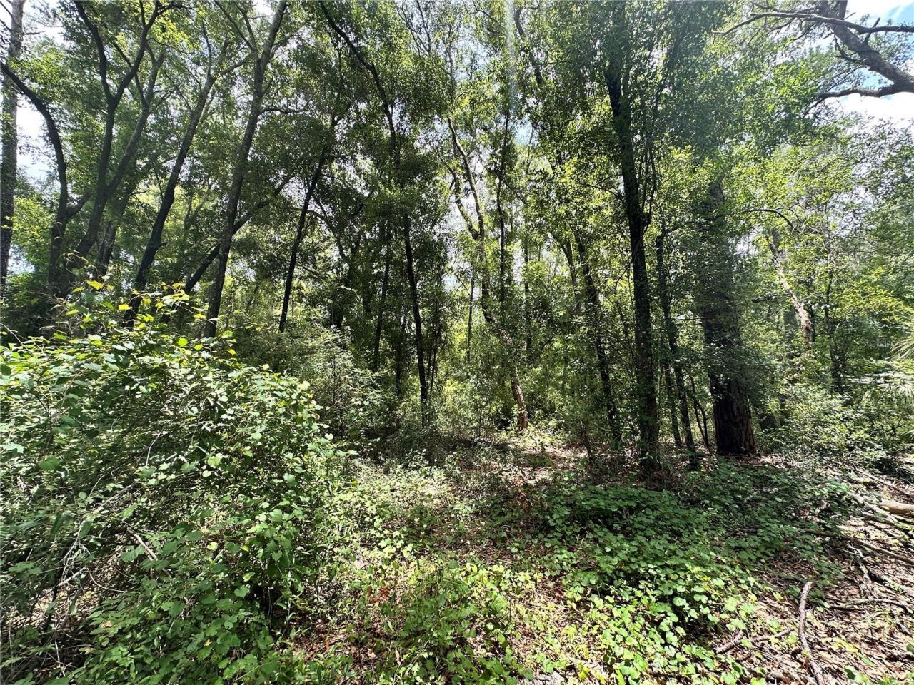 County Road 349 N., O Brien, FL 32071 Photo