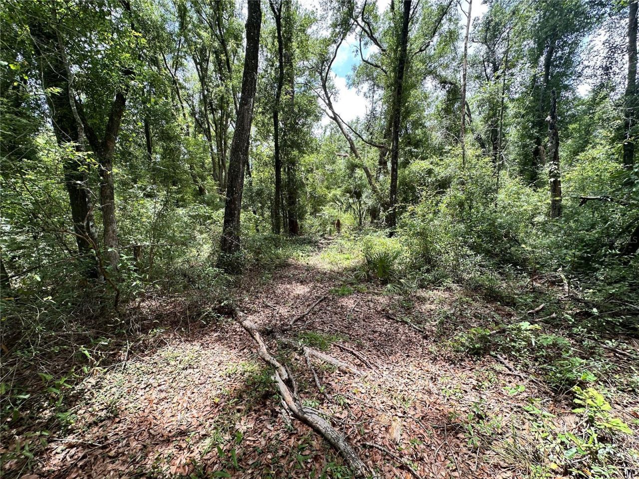 County Road 349 N., O Brien, FL 32071 Photo