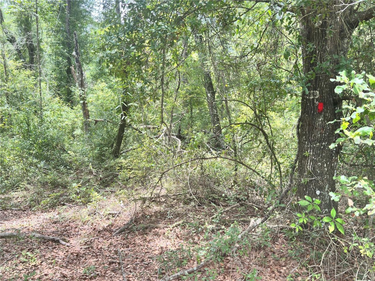 County Road 349 N., O Brien, FL 32071 Photo