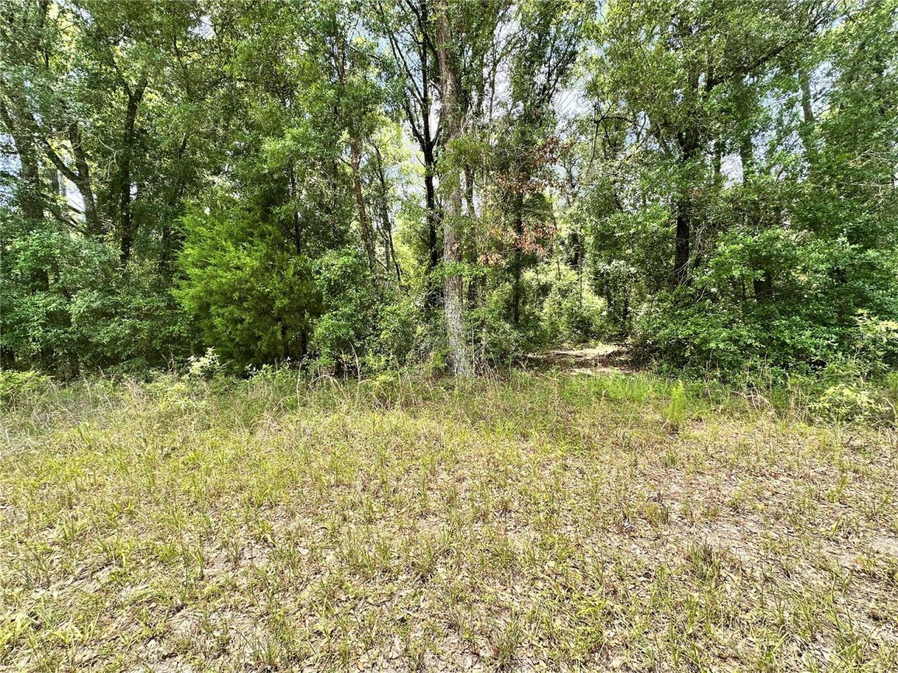 County Road 349 N., O Brien, FL 32071 Photo