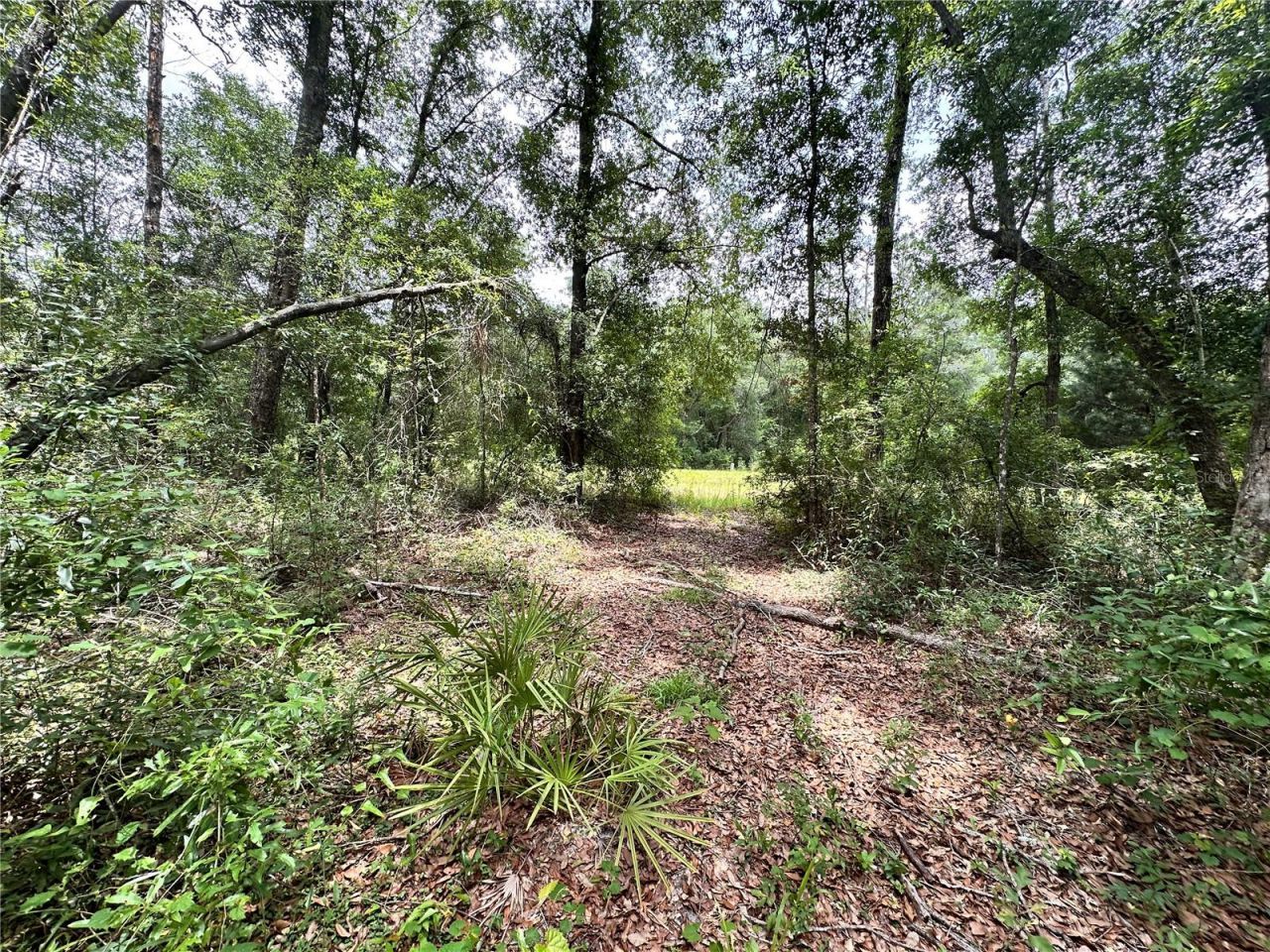 County Road 349 N., O Brien, FL 32071 Photo