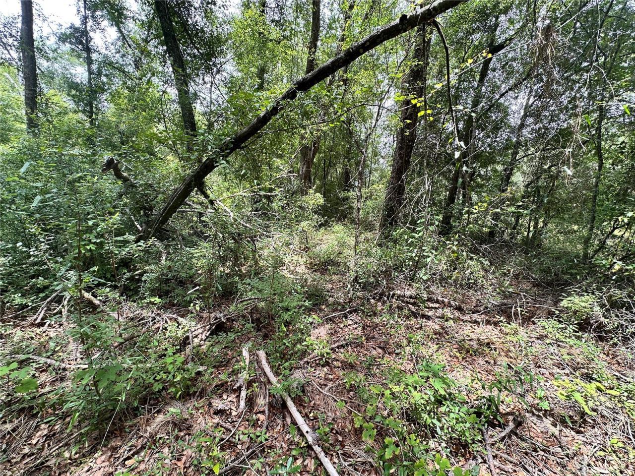 County Road 349 N., O Brien, FL 32071 Photo