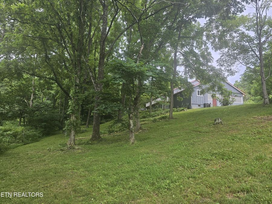 Property Image 48