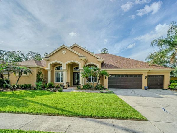 27447 WATER ASH DRIVE, WESLEY CHAPEL, FL 33544