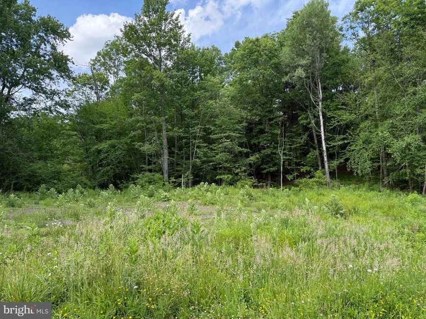 0 Frog Hollow Road , Philipsburg, PA 16866 Main Photo