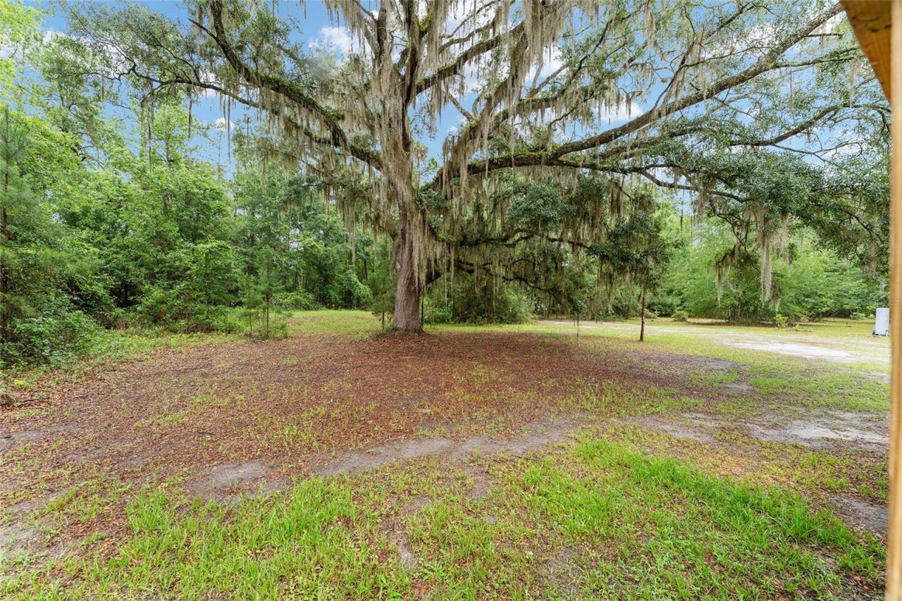 6028 SW 91st Place, Lake Butler, FL 32054 Photo
