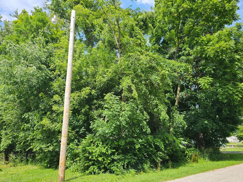 0 Beaver Drive NE, Thornville, OH 43076 Photo 8