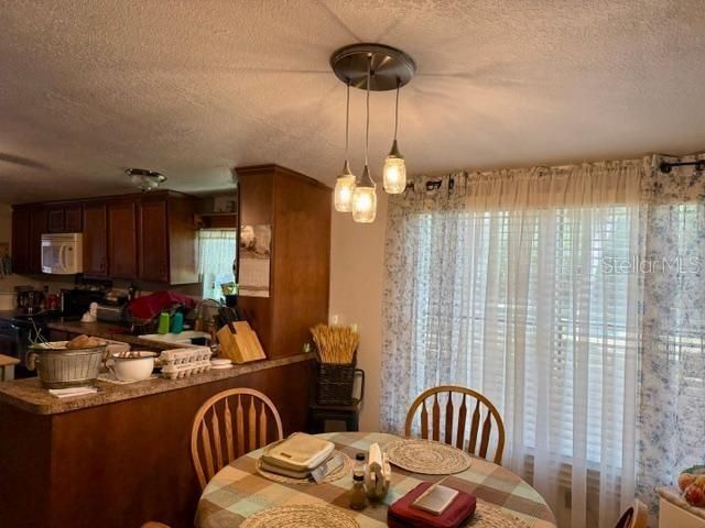 11340 SW 28th Way, Webster, FL 33597 Photo