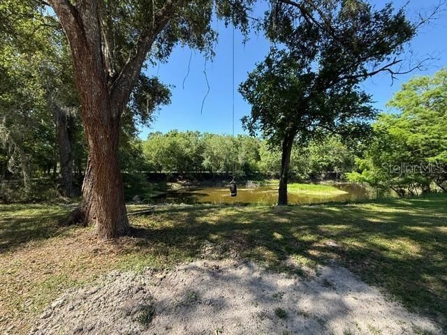 11340 SW 28th Way, Webster, FL 33597 Photo