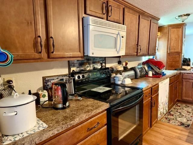 11340 SW 28th Way, Webster, FL 33597 Photo