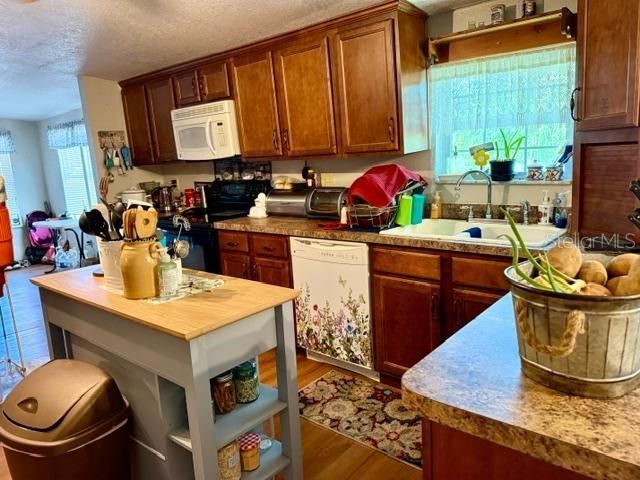 11340 SW 28th Way, Webster, FL 33597 Photo