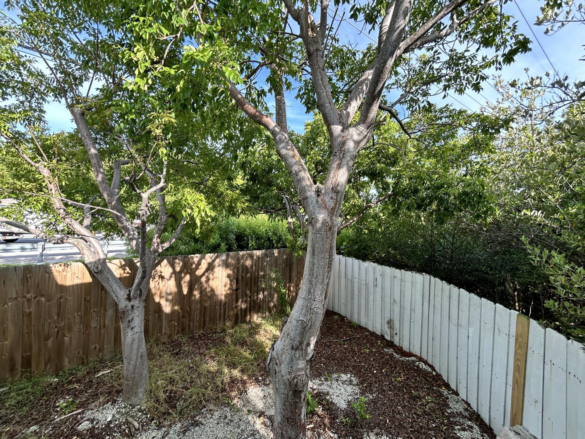 100 Sunset Lane, Key Largo, FL 33037 Photo