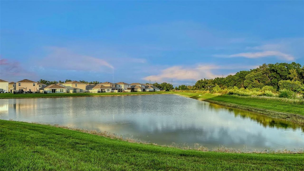 10016 Big Marsh Terrace, Parrish, FL 34219 Photo
