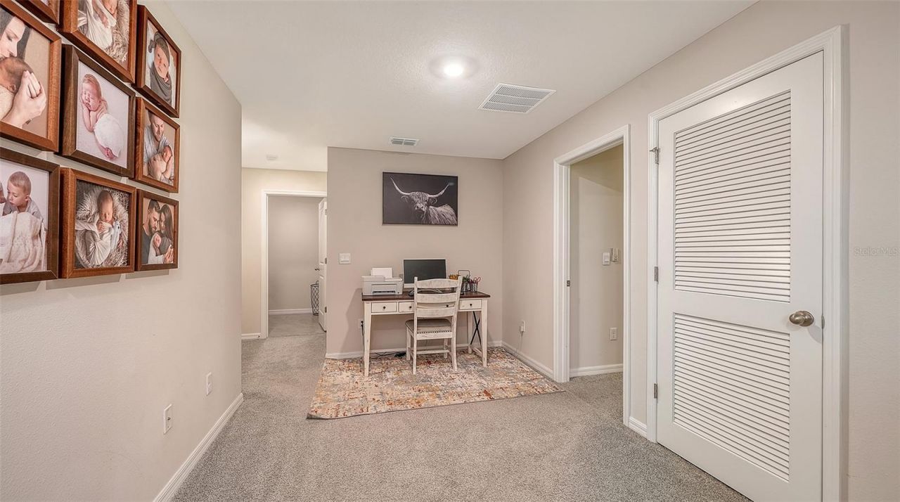 10016 Big Marsh Terrace, Parrish, FL 34219 Photo
