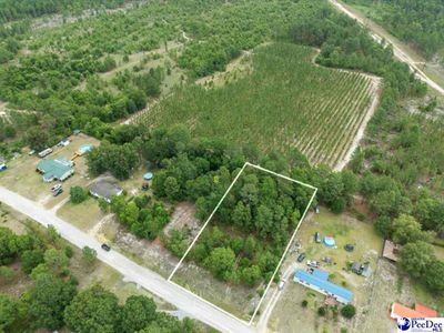 TBD lot 54 Doe Trail, Dillon, SC 29536