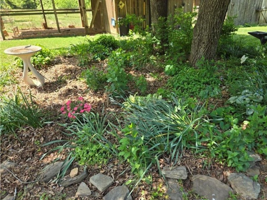 Property Image 68