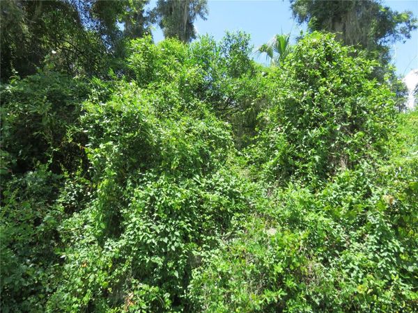 00 SE 142 PLACE , SUMMERFIELD, FL 34491