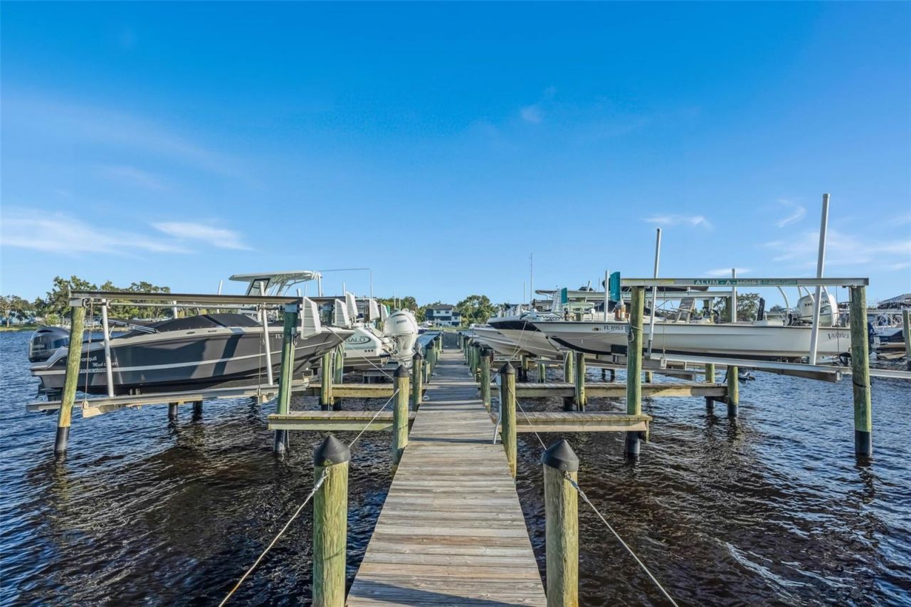 8921 Eagle Watch Drive, Riverview, FL 33578 Photo