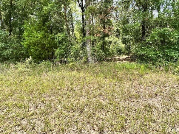 TBD COUNTY ROAD 349, OBrien, FL 32071