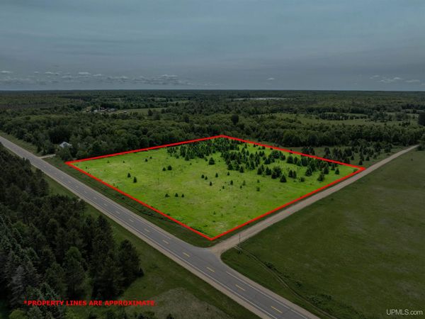 TBD M94 Highway, Rock River Twp, MI 49816