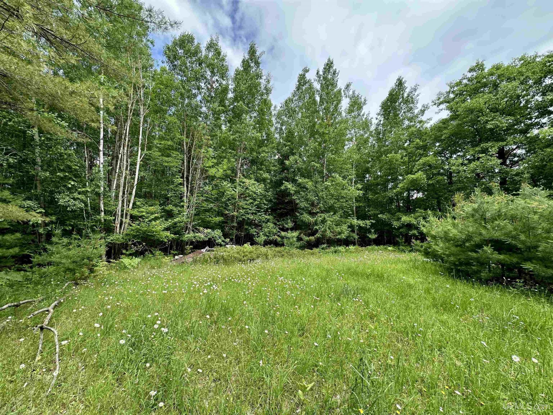 Tbd Homestead Road, Norway Twp, MI 49870 Main Photo