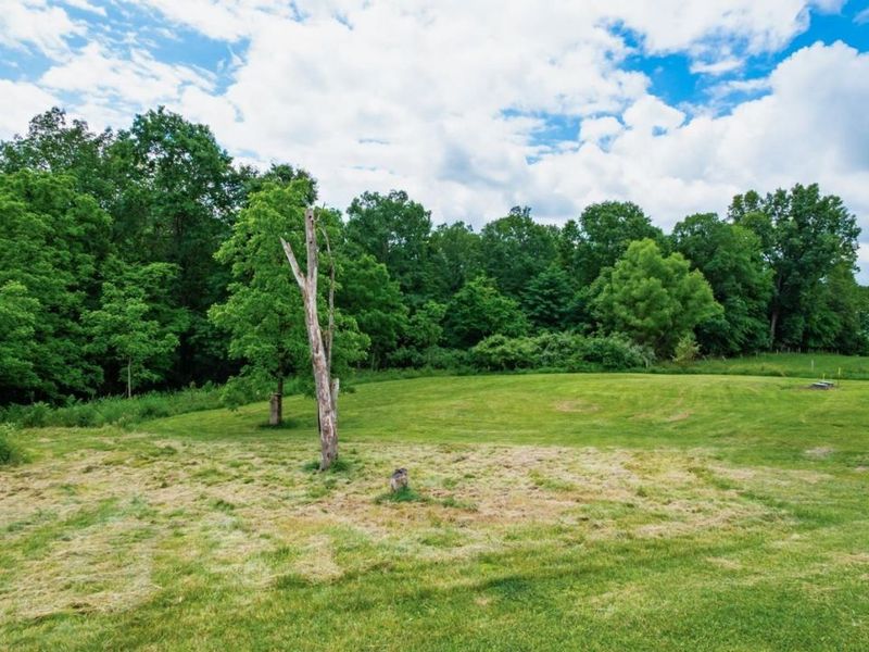 10780 Young Hickory Road, Blue Rock, OH 43720 Photo 32
