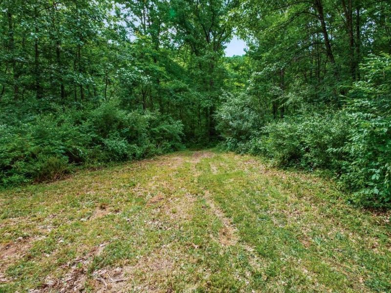10780 Young Hickory Road, Blue Rock, OH 43720 Photo 44