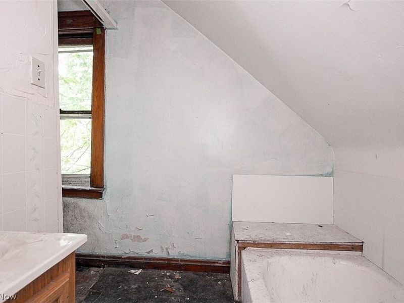 716 E 160th Street, Cleveland, OH 44110 Photo 27