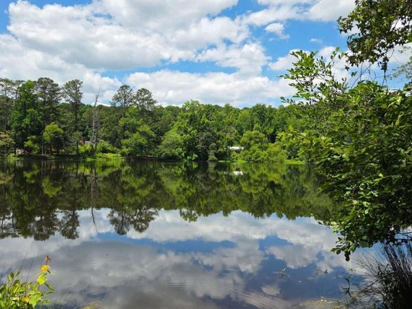 11O HEARTHSTONE Drive, Stockbridge, GA 30281
