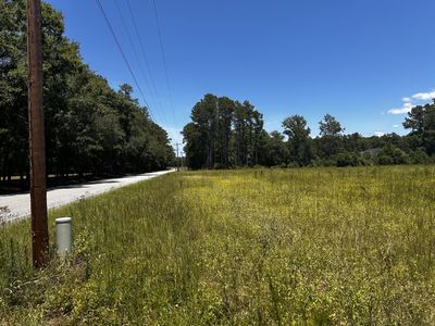 0 Cane Branch Road, Walterboro, SC 29488