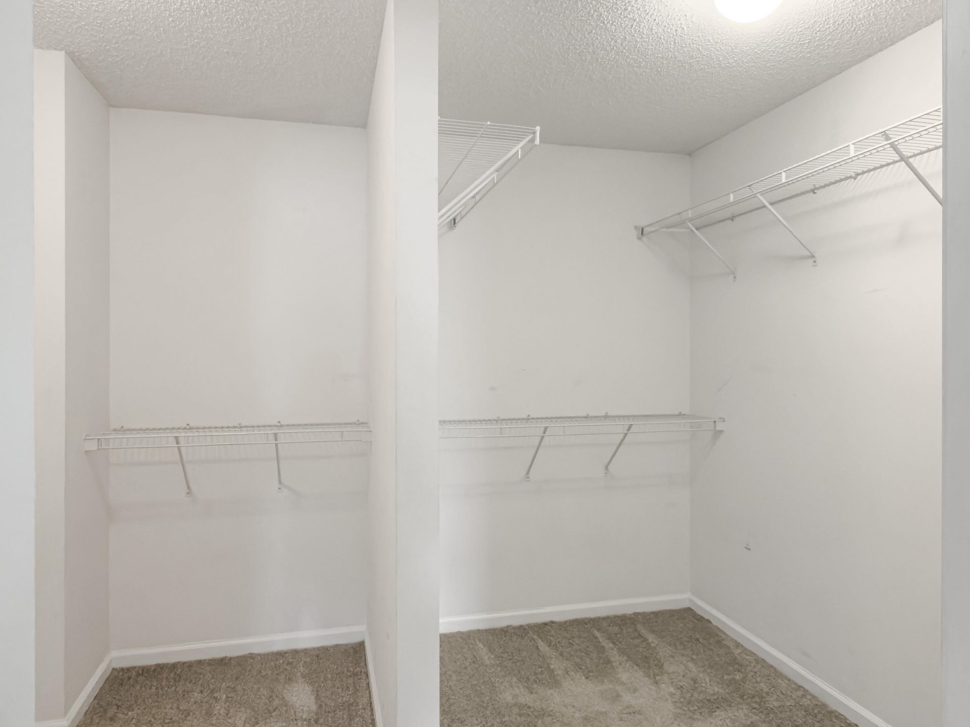 408 Dovetail Circle Photo 38